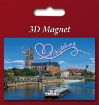 3D Magnet Dom